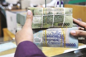 Hanoi banks achieve half year s credit target